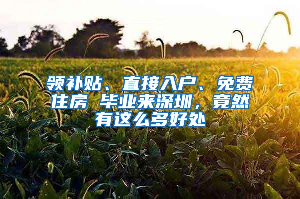 领补贴、直接入户、免费住房 毕业来深圳，竟然有这么多好处