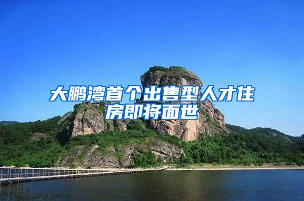 大鹏湾首个出售型人才住房即将面世