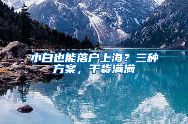 小白也能落户上海？三种方案，干货满满
