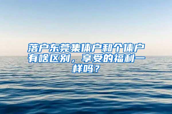 落户东莞集体户和个体户有啥区别，享受的福利一样吗？