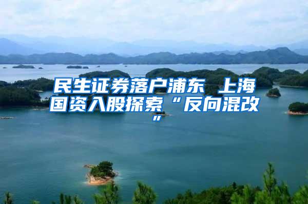 民生证券落户浦东 上海国资入股探索“反向混改”