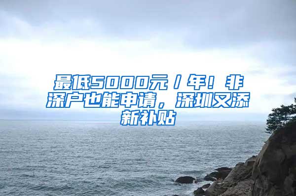 最低5000元／年！非深户也能申请，深圳又添新补贴