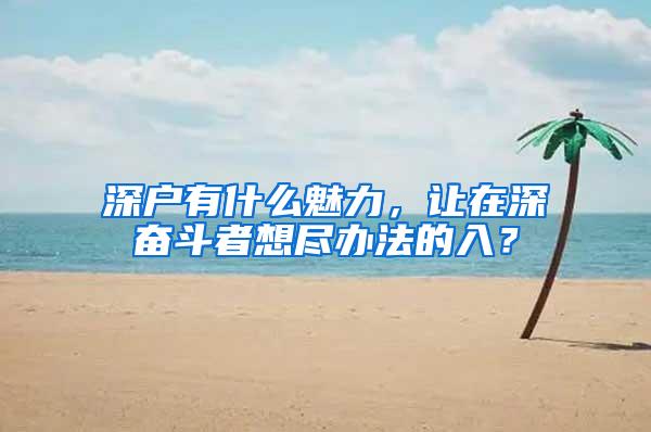 深户有什么魅力，让在深奋斗者想尽办法的入？