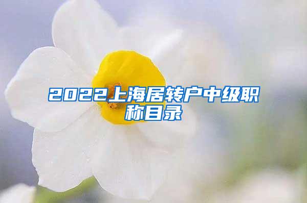 2022上海居转户中级职称目录