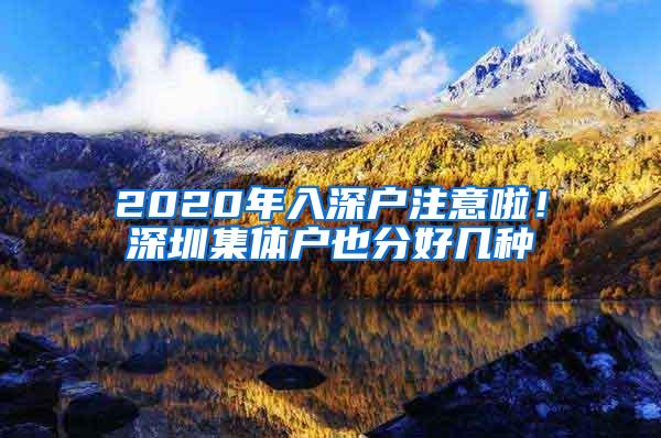 2020年入深户注意啦！深圳集体户也分好几种
