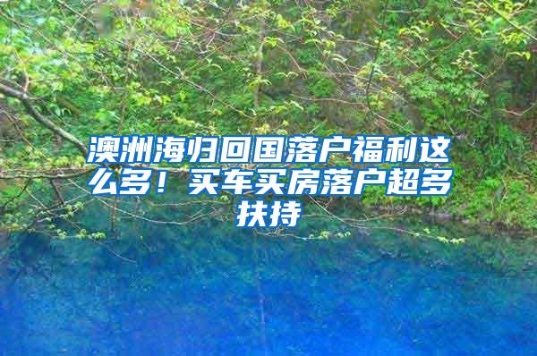 澳洲海归回国落户福利这么多！买车买房落户超多扶持