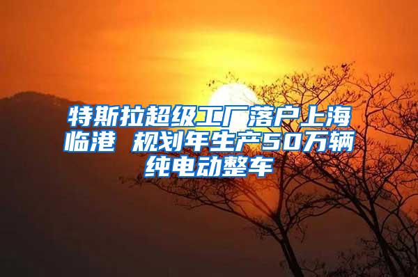 特斯拉超级工厂落户上海临港 规划年生产50万辆纯电动整车