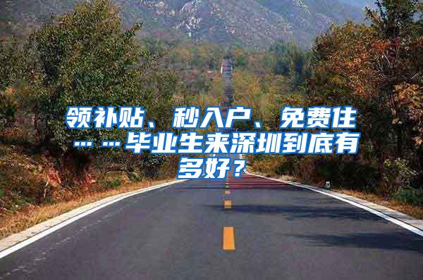 领补贴、秒入户、免费住……毕业生来深圳到底有多好？