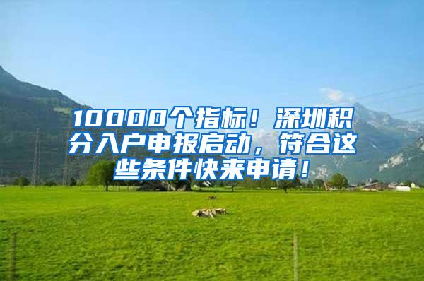 10000个指标！深圳积分入户申报启动，符合这些条件快来申请！