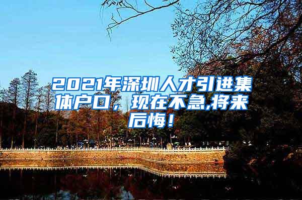 2021年深圳人才引进集体户口，现在不急,将来后悔！