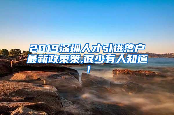 2019深圳人才引进落户最新政策策,很少有人知道！
