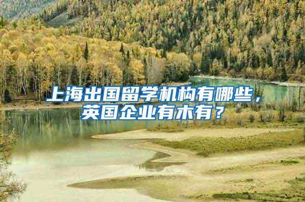 上海出国留学机构有哪些，英国企业有木有？
