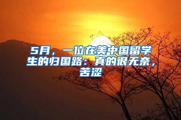5月，一位在美中国留学生的归国路：真的很无奈，苦涩