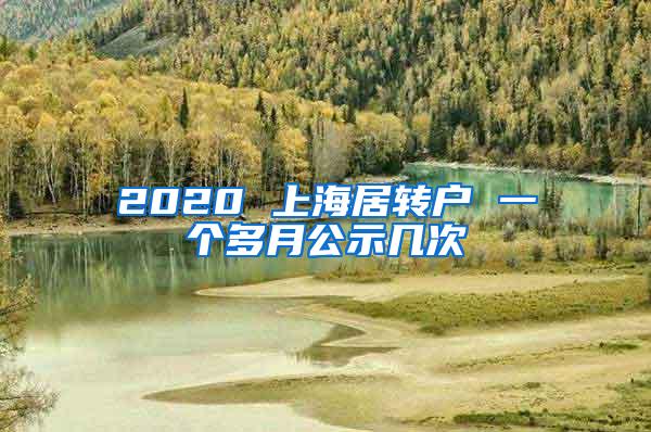 2020 上海居转户 一个多月公示几次