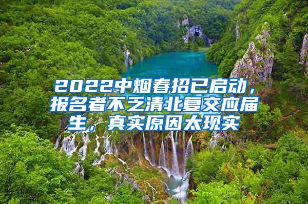 2022中烟春招已启动，报名者不乏清北复交应届生，真实原因太现实