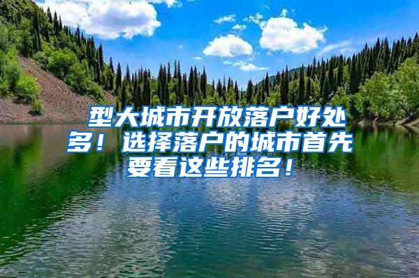 Ⅰ型大城市开放落户好处多！选择落户的城市首先要看这些排名！