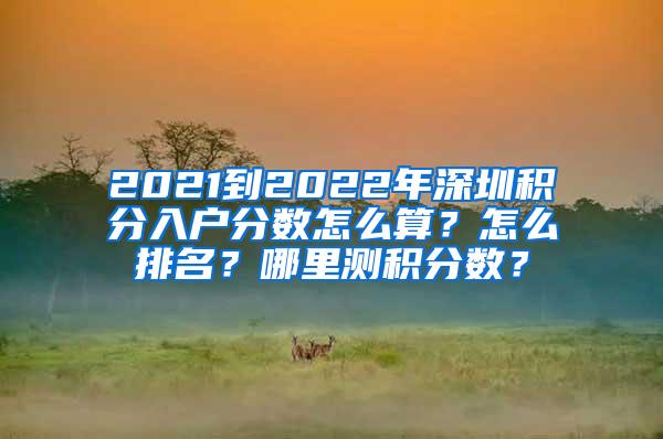 2021到2022年深圳积分入户分数怎么算？怎么排名？哪里测积分数？