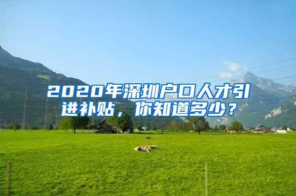 2020年深圳户口人才引进补贴，你知道多少？