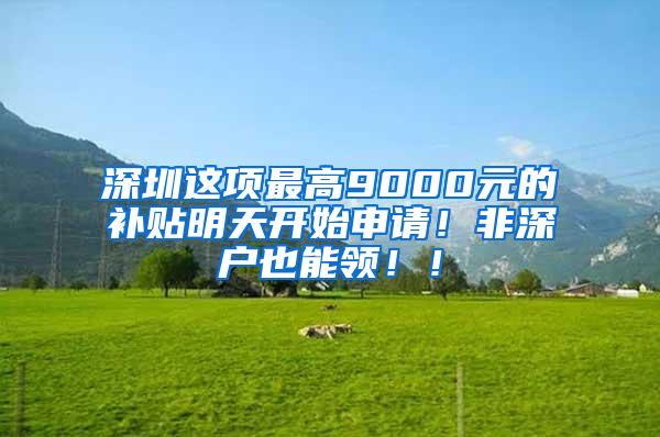 深圳这项最高9000元的补贴明天开始申请！非深户也能领！！
