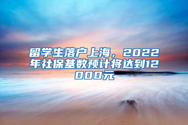 留学生落户上海，2022年社保基数预计将达到12000元