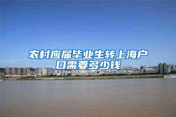 农村应届毕业生转上海户口需要多少钱