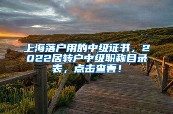 上海落户用的中级证书，2022居转户中级职称目录表，点击查看！
