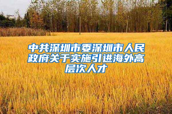 中共深圳市委深圳市人民政府关于实施引进海外高层次人才