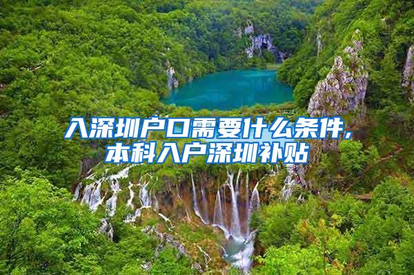 入深圳户口需要什么条件,本科入户深圳补贴
