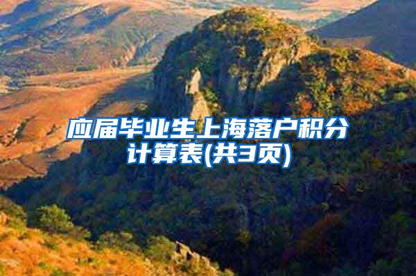 应届毕业生上海落户积分计算表(共3页)