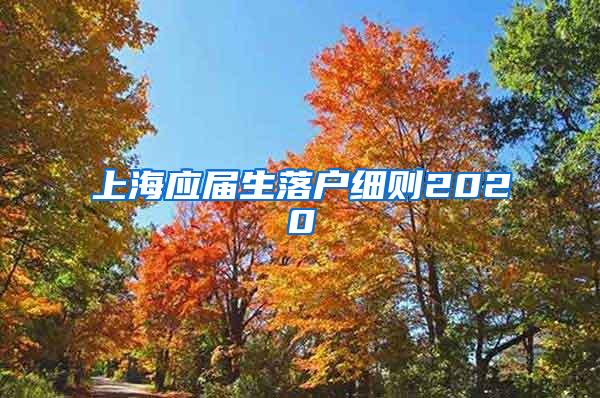 上海应届生落户细则2020