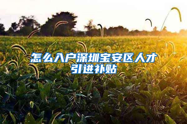 怎么入户深圳宝安区人才引进补贴