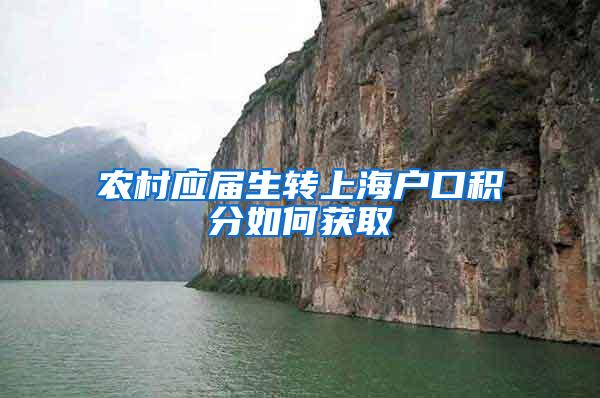农村应届生转上海户口积分如何获取