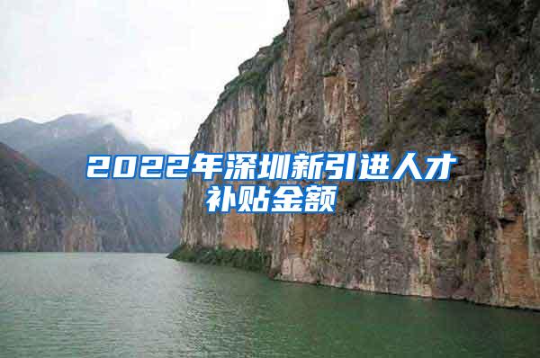 2022年深圳新引进人才补贴金额