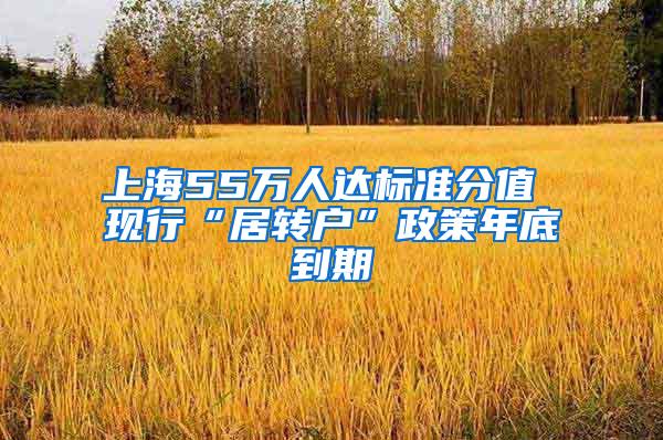上海55万人达标准分值 现行“居转户”政策年底到期