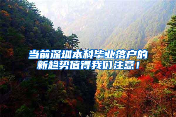 当前深圳本科毕业落户的新趋势值得我们注意！