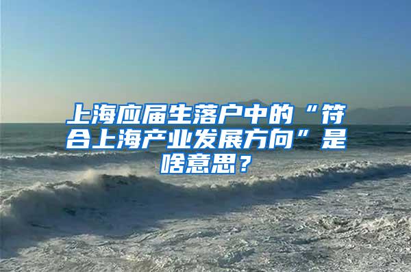 上海应届生落户中的“符合上海产业发展方向”是啥意思？