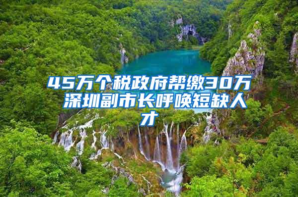 45万个税政府帮缴30万 深圳副市长呼唤短缺人才