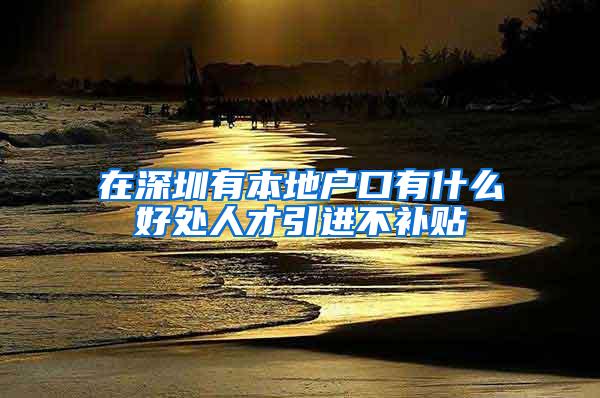 在深圳有本地户口有什么好处人才引进不补贴