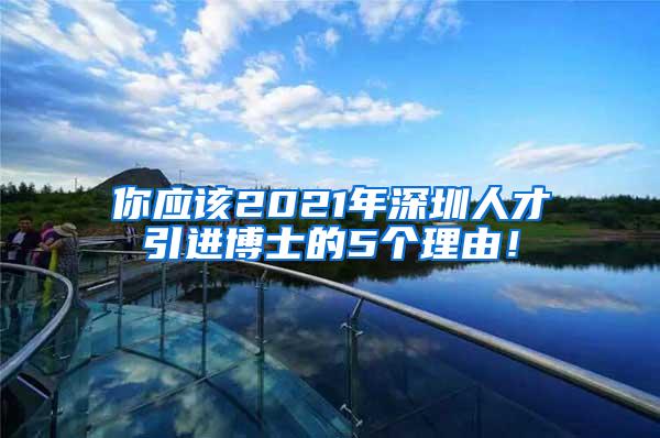 你应该2021年深圳人才引进博士的5个理由！