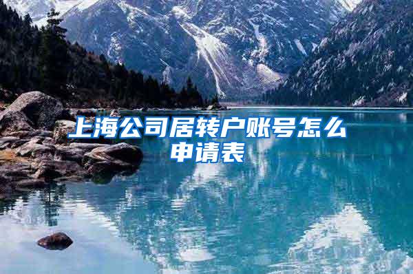 上海公司居转户账号怎么申请表