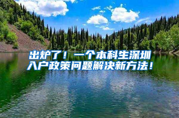 出炉了！一个本科生深圳入户政策问题解决新方法！