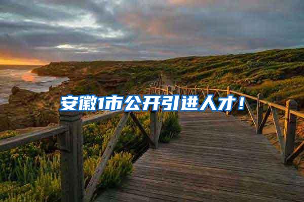 安徽1市公开引进人才！