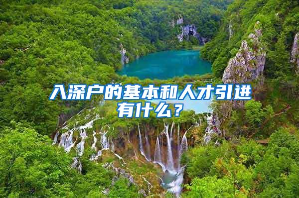 入深户的基本和人才引进有什么？