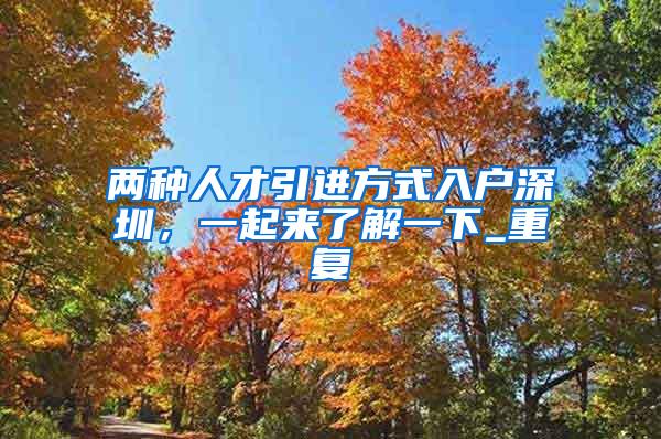两种人才引进方式入户深圳，一起来了解一下_重复