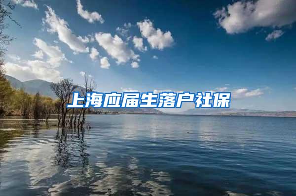 上海应届生落户社保