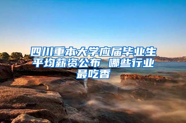 四川重本大学应届毕业生平均薪资公布 哪些行业最吃香