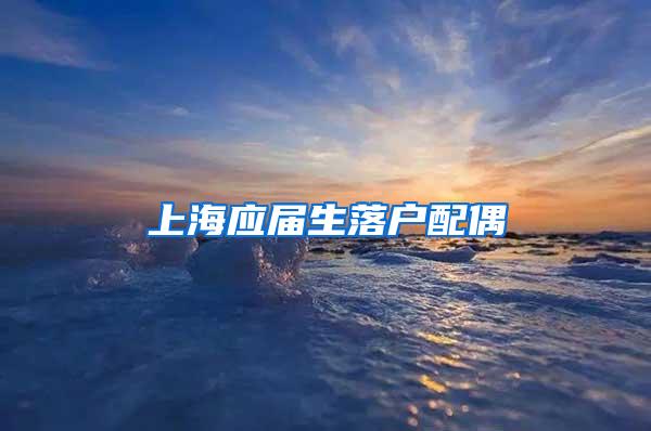 上海应届生落户配偶