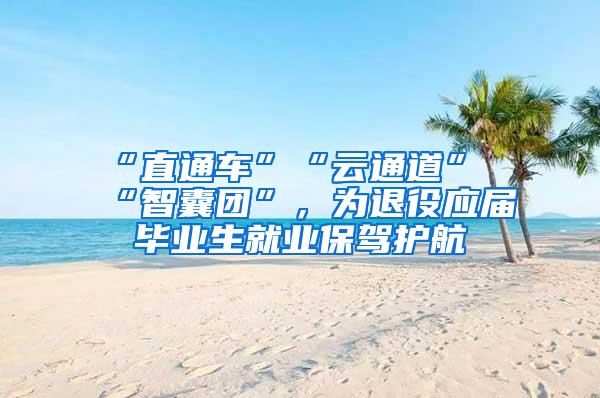 “直通车”“云通道”“智囊团”，为退役应届毕业生就业保驾护航