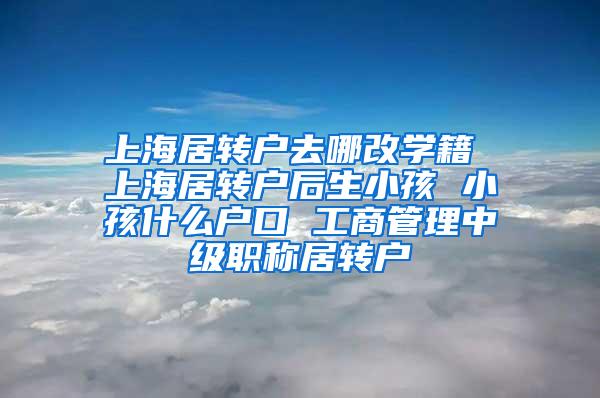 上海居转户去哪改学籍 上海居转户后生小孩 小孩什么户口 工商管理中级职称居转户