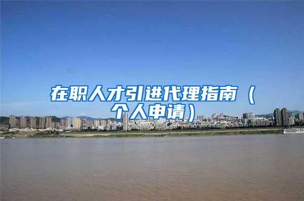 在职人才引进代理指南（个人申请）